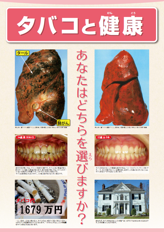 タバコと健康（第10版）